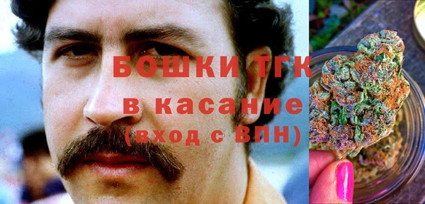 ГАЛЛЮЦИНОГЕННЫЕ ГРИБЫ Балабаново