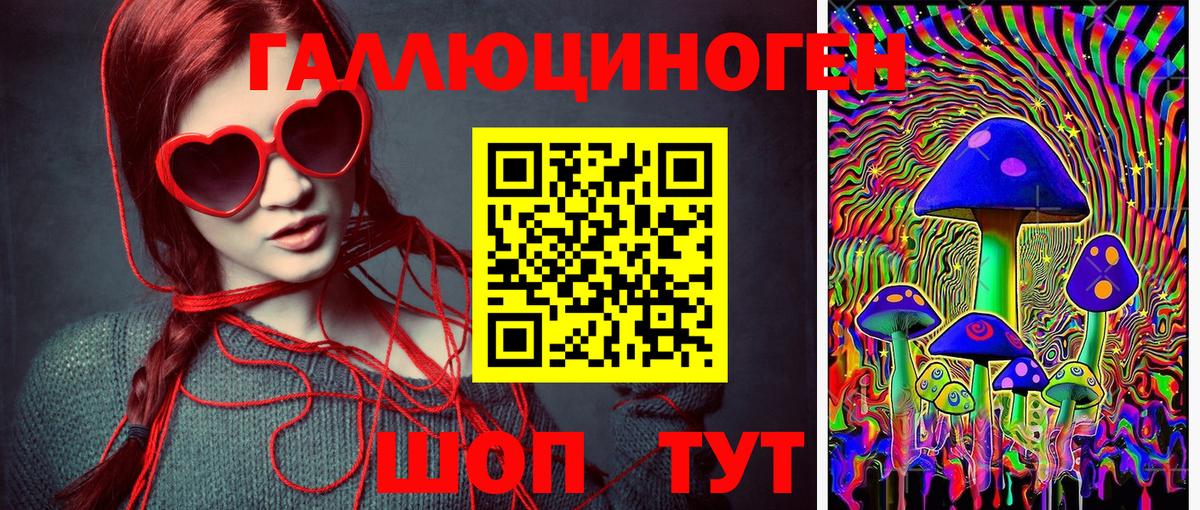купить наркотик  Аша  Галлюциногенные грибы Psilocybe 