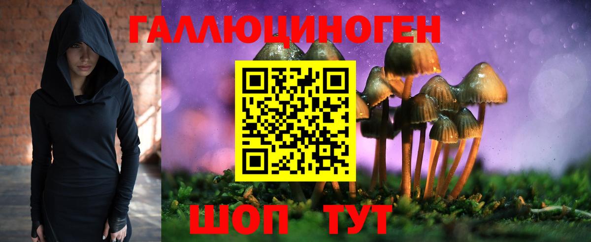 Аша  Псилоцибиновые грибы мухоморы  Псилоцибиновые грибы мицелий  купить  сайты  Вход с VPN 