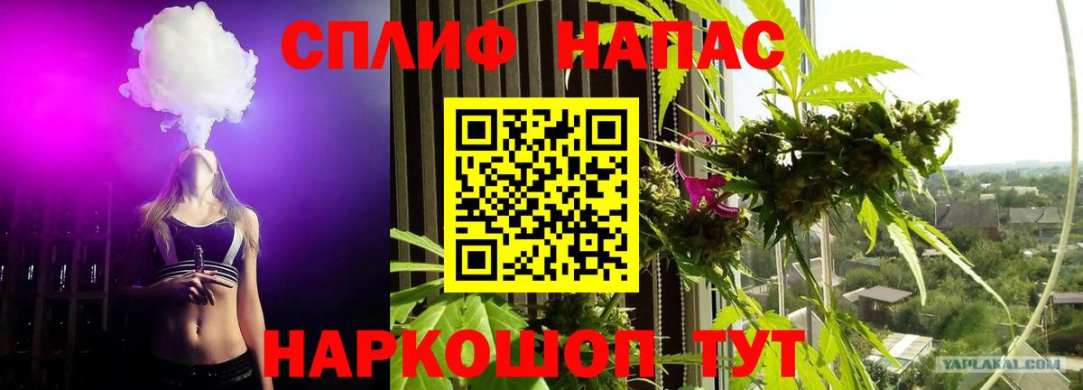 Каннабис индика Аша